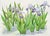 Clean and detailed watercolor of blue flag irises by David Wang (Chinese-American, 20th Century). Signed in the lower...