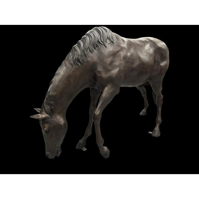 A magnificent life-size bronze horse sculpture, naturalistically modelled in a relaxed grazing pose with its head lowered...