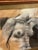 Mid 20th Century Gary Ross Nude Charcoal Drawing in Distressed Wood Frame For Sale - Image 10 of 12