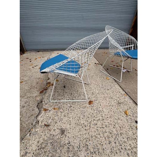 2000 - 2009 Bertoia for Knoll Small Diamond Chairs, Mid-Century Modern, USA For Sale - Image 5 of 10