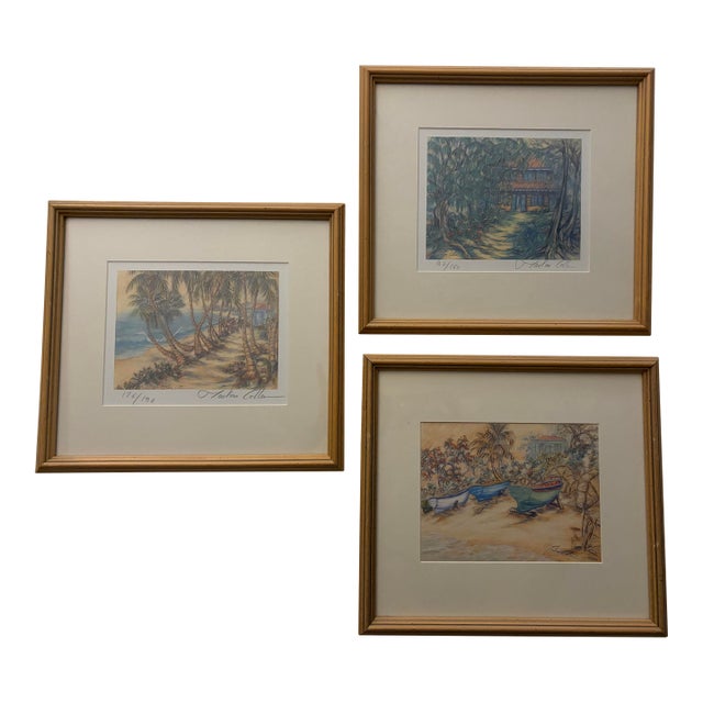 1990s French Artist Martine Cotten Tropical Signed Prints - Set of 3 For Sale
