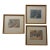 1990s French Artist Martine Cotten Tropical Signed Prints - Set of 3 For Sale
