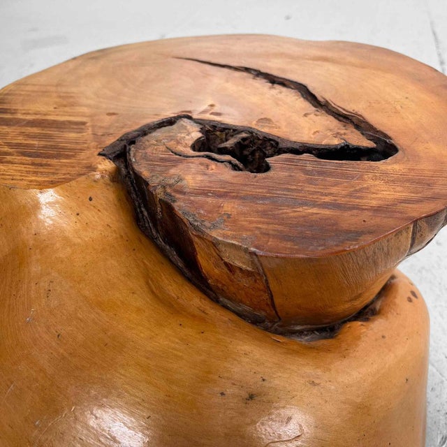 Japanese Burl Root Plant Stand, 1950s For Sale - Image 10 of 14