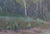 Vintage Impressionism Forest Oil Painting, Ukrainian Art, 1970s 35-50 For Sale - Image 6 of 6