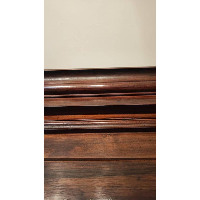 Display Cabinet, 19th Century For Sale - Image 13 of 18