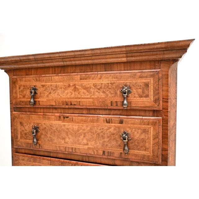 Brown Antique Burr Walnut Chest on Chest of Drawers, 1890 For Sale - Image 8 of 10