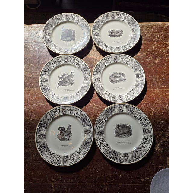 Six Bewick Bird Plates by Prinknash Abbey Pottery For Sale - Image 10 of 12