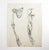 Pencil on paper anatomy drawing of arm. Unsigned. Unframed, age toning, sketch book perforations along left side.