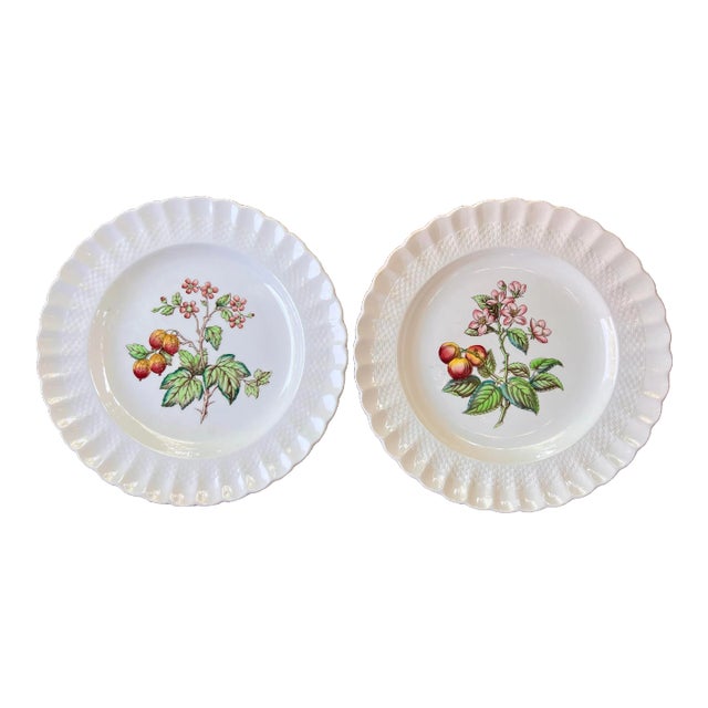 Spode Glendale Gooseberry and Crabapple Dinner Plates- a Pair For Sale