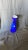 Glass Mid-Century Italian Cobalt Blue Cased Glass Hyacinth Vase For Sale - Image 7 of 8