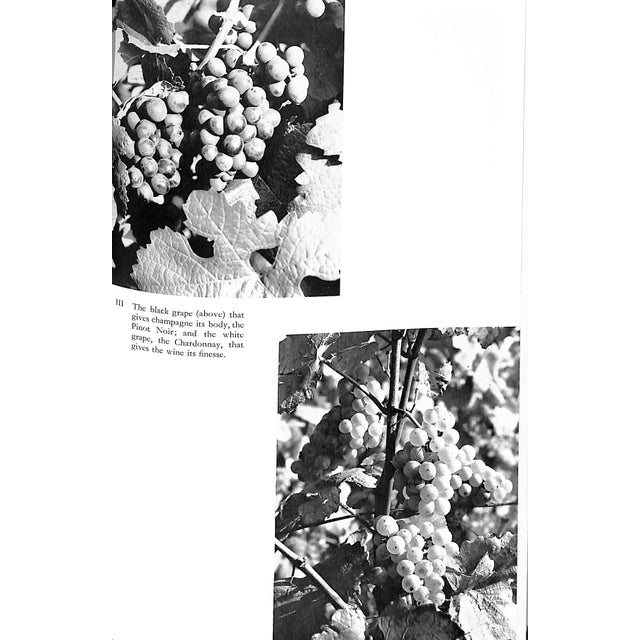 Paper "Bollinger: The Story of a Champagne" 1971 Ray, Cyril For Sale - Image 7 of 12