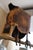 1969 C. Jeré for Artisan House Signed Owl on Branch Sculpture on Stone Base For Sale - Image 11 of 18