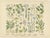 M. Fünfstück, Wildflowers & Medicinal Plants, 1890s, Chromolithograph, Set of 4 For Sale - Image 3 of 9