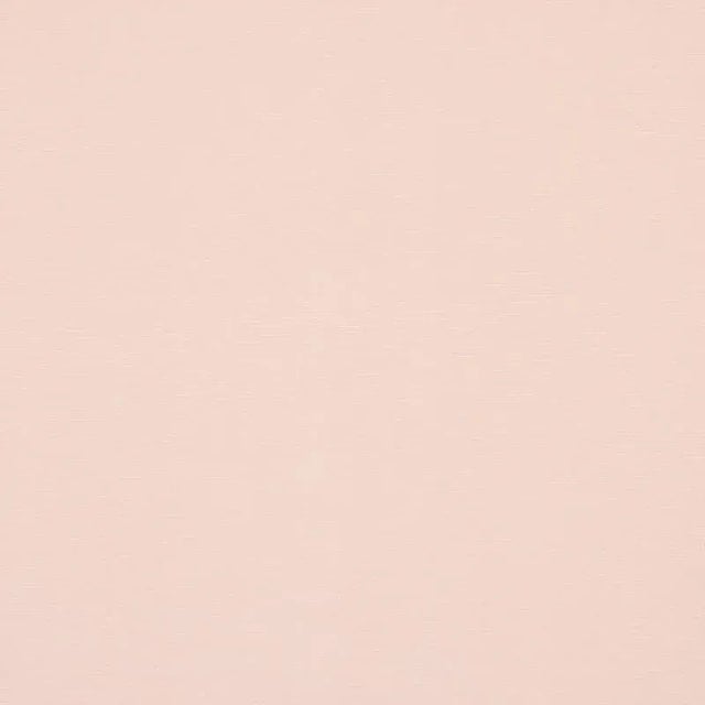 Transitional Sample - Schumacher Legere Ground Fabric in Blush For Sale - Image 3 of 3