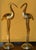 Brass Ibis Sculptures, France, 1960s, Set of 2 For Sale - Image 4 of 12