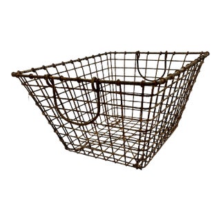 Vintage Early 1900s French Metal Oyster Basket For Sale