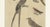 Early 19th Century Bertuch, Bird Swallow & Nightjars, 1800, Engraving For Sale - Image 5 of 9