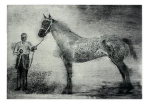 Pawel Zablocki, Horse from Casa Lorna, Etching on Paper, 2007