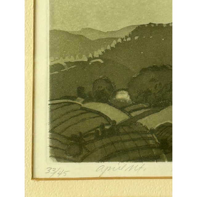 Mid 20th Century Linda Plotkin (Wi b.1938-) Orig. Tonalist Etching 33/45 Signed, Titled "April Mt.", Framed For Sale - Image 4 of 9