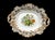 English Porcelain Botanical Fruit Dessert Service, Attributed to Coalport Circa 1830 For Sale - Image 9 of 11