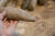 :: Antique Bronze Age African stone primitive weapon. As this item is in vintage condition, it may show signs of age and...