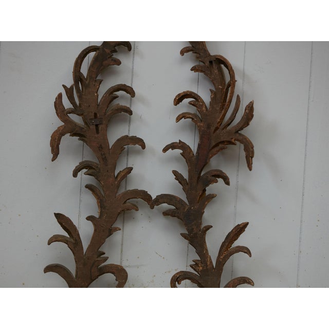 Gold Pair of Italian 1820s Carved Giltwood Wall Fragments Depicting Scrolling Foliage For Sale - Image 8 of 9