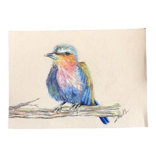 “Colorful Bird” Contemporary Pastel Drawing by Nancy Smith For Sale