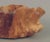 Vintage Burl Wood Bowl For Sale - Image 12 of 13