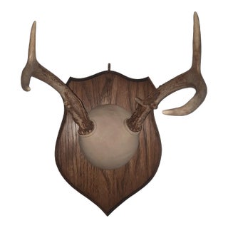 Mid 20th Century Trophy Deer Antler Mount For Sale