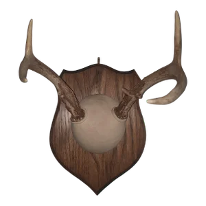 Mid 20th Century Trophy Deer Antler Mount
