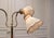 Swedish Model 139 3-Light Floor Lamp from Eskilstuna Elektrofabriks AB, 1940s For Sale - Image 10 of 13