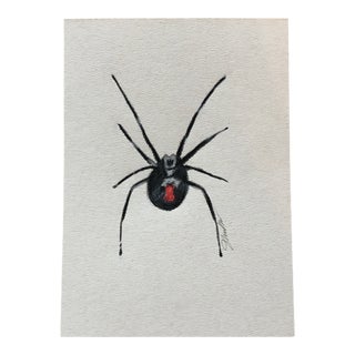 “Black Widow” Contemporary Color Pencil Drawing by Nancy Smith For Sale