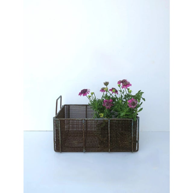 Industrial Iron Wire Wicker Basket For Sale - Image 3 of 10