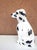 Ceramic Porcelain Statue of Dalmatian Dog, Italy, 1960s For Sale - Image 7 of 8