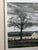 Glass 1980s George Guest "Great Barn" Signed Limited Edition Lithograph 52/200 Framed For Sale - Image 7 of 15