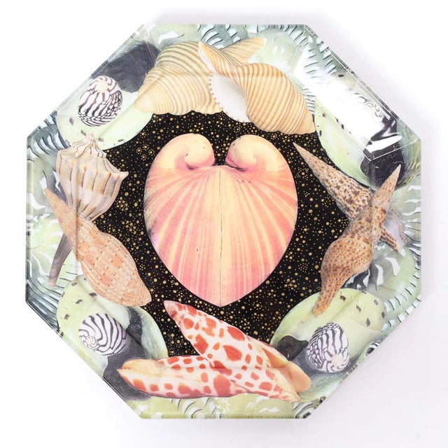 Late 20th Century Set of Six Reverse Decoupage Seashell Glass Plates by Pablo Manzoni For Sale - Image 5 of 10