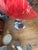 Hanging Acrylic Bubble Chair in the Manner of Eero Aarnio For Sale In Philadelphia - Image 6 of 12