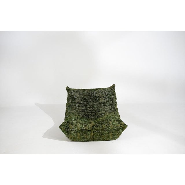 Togo Lounge Chair and Pouf in Heritage Wave Fabric by Michel Ducaroy for Ligne Roset, 1973, Set of 2 For Sale - Image 3 of 17