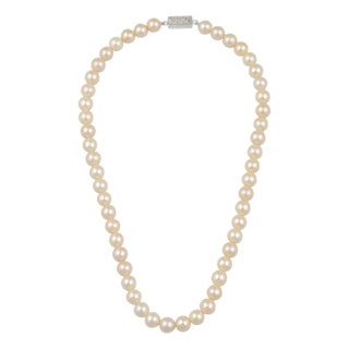 51 Round White Fresh Water Pearls Strand Necklace Set in Silver Clasp For Sale