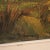 Italian Artist, Landscape in Impressionist Style, 1960, Oil on Panel, Framed For Sale - Image 11 of 13