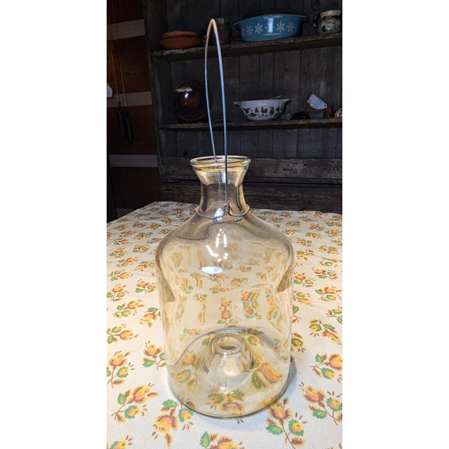 Late 19th Century Vintage Fly Catcher Bottle For Sale - Image 5 of 10