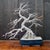 Vintage Silver Solder Cascading Bonsai Tree, 1970s For Sale - Image 9 of 9