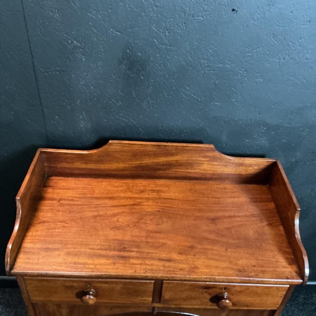 Victorian Dog and Cat Kennel Dresser, 1870 For Sale - Image 3 of 8