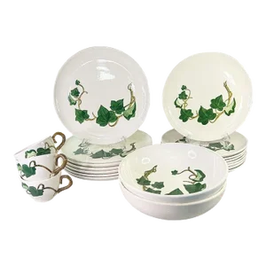 Mid Century 20 Piece Dinnerware Set of California Ivy Poppy Trail by Metlox