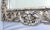 Rococo Italian Pier Mirror in Silver Gilt For Sale - Image 4 of 9
