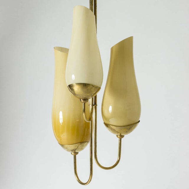 Brass and Glass Chandelier by Gunnel Nyman & Paavo Tynell For Sale - Image 10 of 10