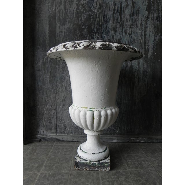 Antique Model Medicis Cast Iron Vase, 1890s For Sale - Image 3 of 11