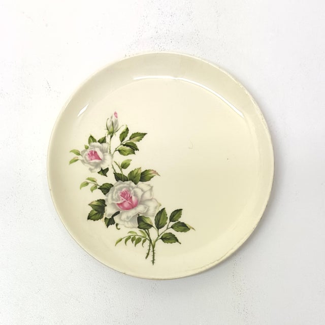 Petal Pink Decorative Wall Plate Curation - Group of 9 For Sale - Image 4 of 12