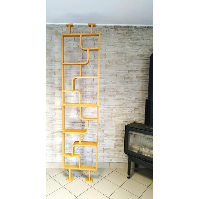 Room Dividers attributed to Ludvik Volak for Drevopodnik Holesov, Set of 2 For Sale - Image 17 of 18