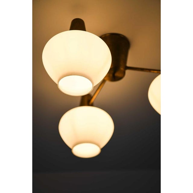 Gold Ceiling Lamp in Brass and Opaline Glass attributed to Hans Bergström, 1940s For Sale - Image 8 of 10
